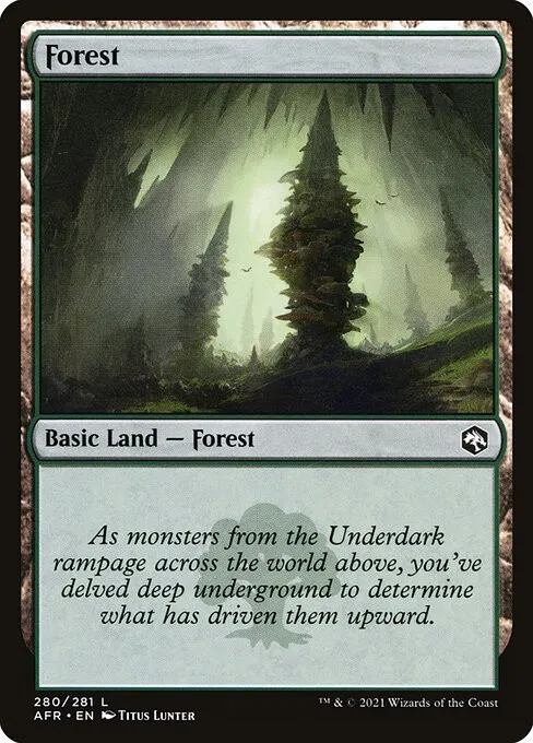 Forest - Foil