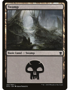 Swamp
