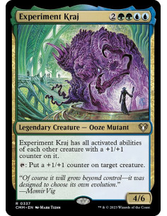 Experiment Kraj - Foil