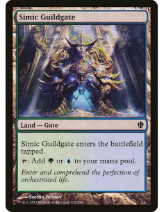 Simic Guildgate
