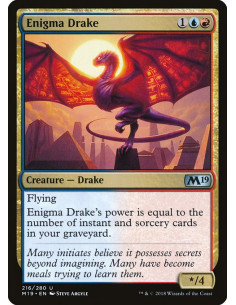 Enigma Drake
