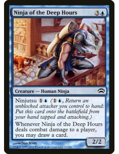 Ninja of the Deep Hours