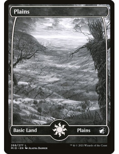 Plains - Foil