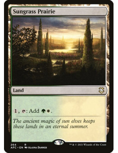 Sungrass Prairie