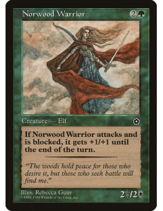 Norwood Warrior
