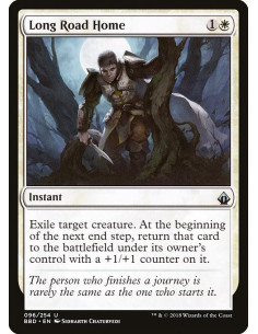 Long Road Home - Foil