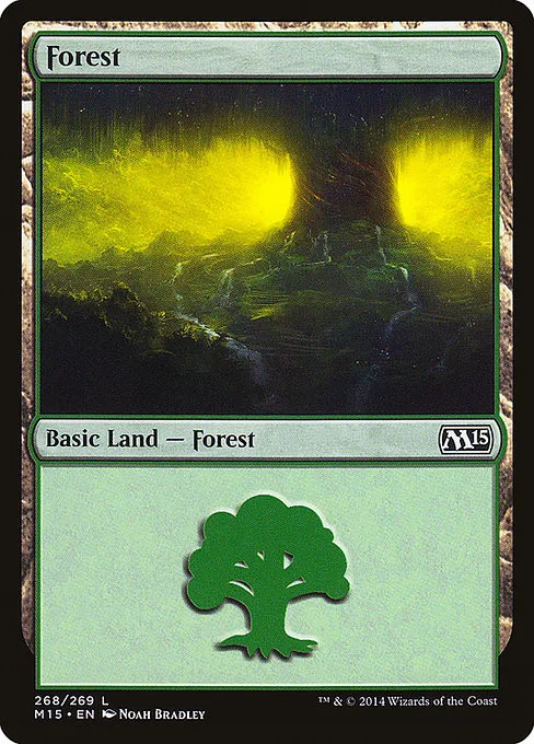 Forest - Foil