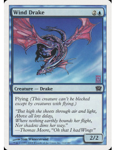 Wind Drake