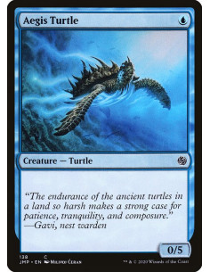 Aegis Turtle