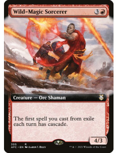 Wild-Magic Sorcerer