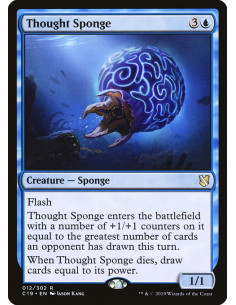 Thought Sponge