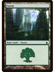 Forest - Foil