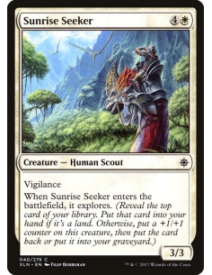 Sunrise Seeker