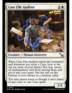 Case File Auditor - Foil