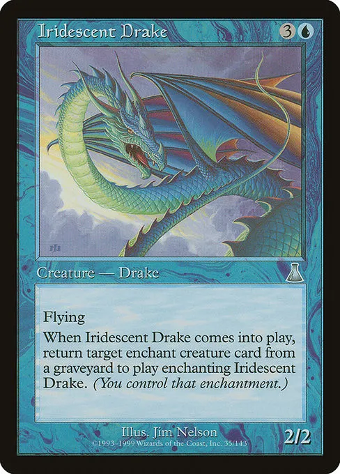 Iridescent Drake - Foil