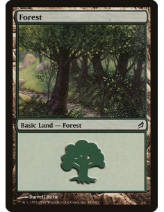 Forest - Foil