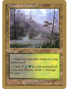Llanowar Wastes
