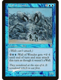 Wall of Wonder - Foil