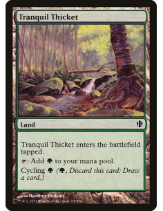 Tranquil Thicket