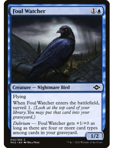 Foul Watcher