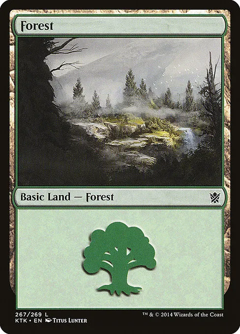 Forest - Foil