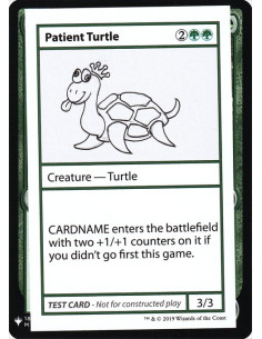 Patient Turtle
