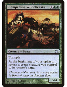 Stampeding Wildebeests - Foil