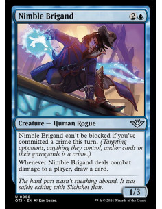 Nimble Brigand
