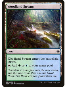 Woodland Stream