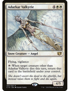 Adarkar Valkyrie