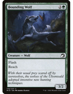 Bounding Wolf