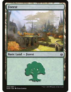 Forest