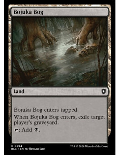 Bojuka Bog
