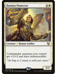 Bastion Protector