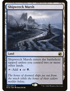 Shipwreck Marsh