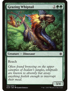 Grazing Whiptail - Foil