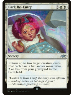 Park Re-Entry - Foil