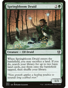 Springbloom Druid