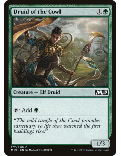 Druid of the Cowl - Foil