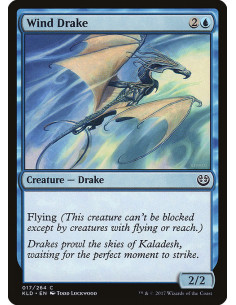 Wind Drake