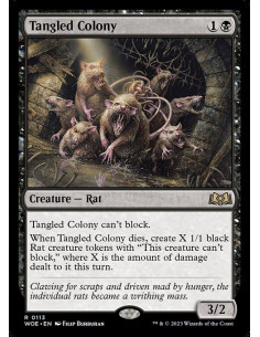 Tangled Colony