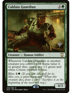 Caldaia Guardian - Foil