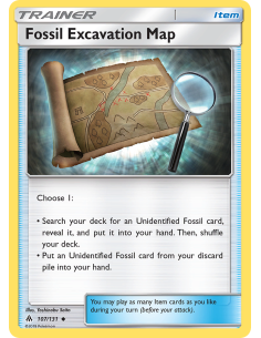 Fossil Excavation Map