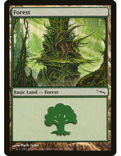 Forest - Foil