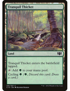 Tranquil Thicket