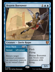 Brazen Borrower // Petty Theft