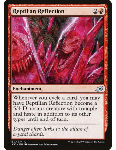 Reptilian Reflection