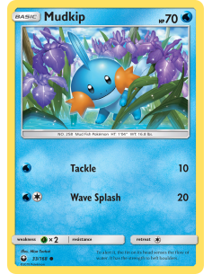 Mudkip