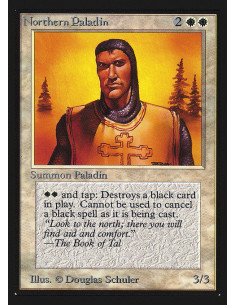 Northern Paladin