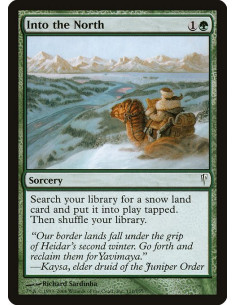 Into the North - Foil